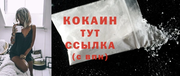 дживик Богородск