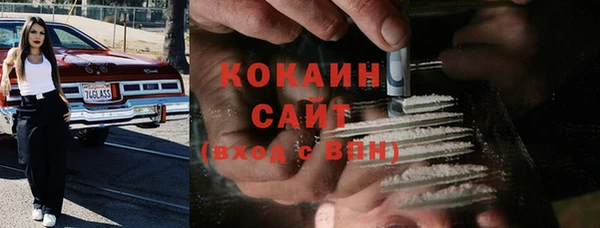 mix Богородицк