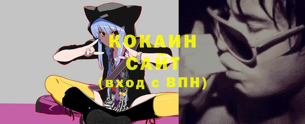 дживик Богородск