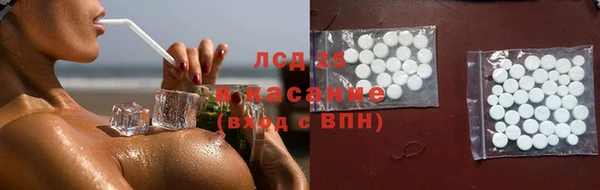 дживик Богородск