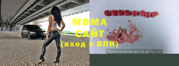 индика Бородино