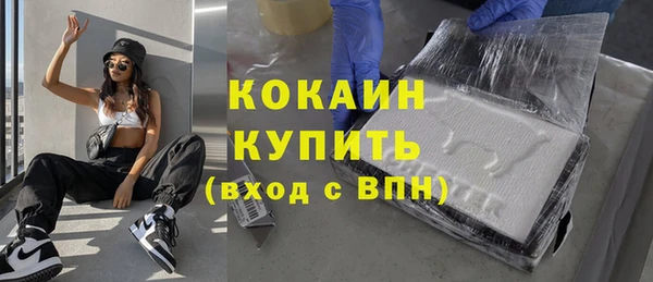 mix Богородицк