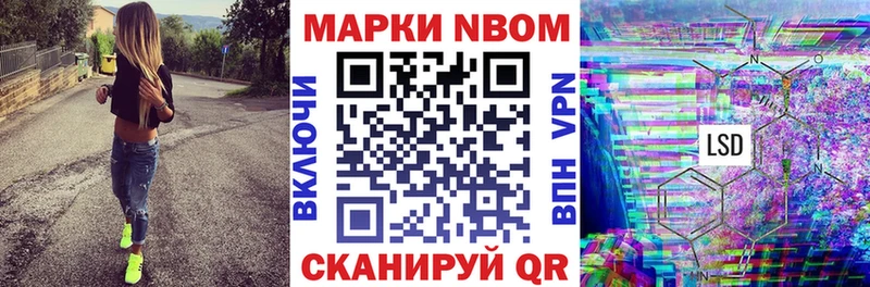 дарнет шоп  блэк спрут как войти  Марки 25I-NBOMe 1,8мг  Бирюч 